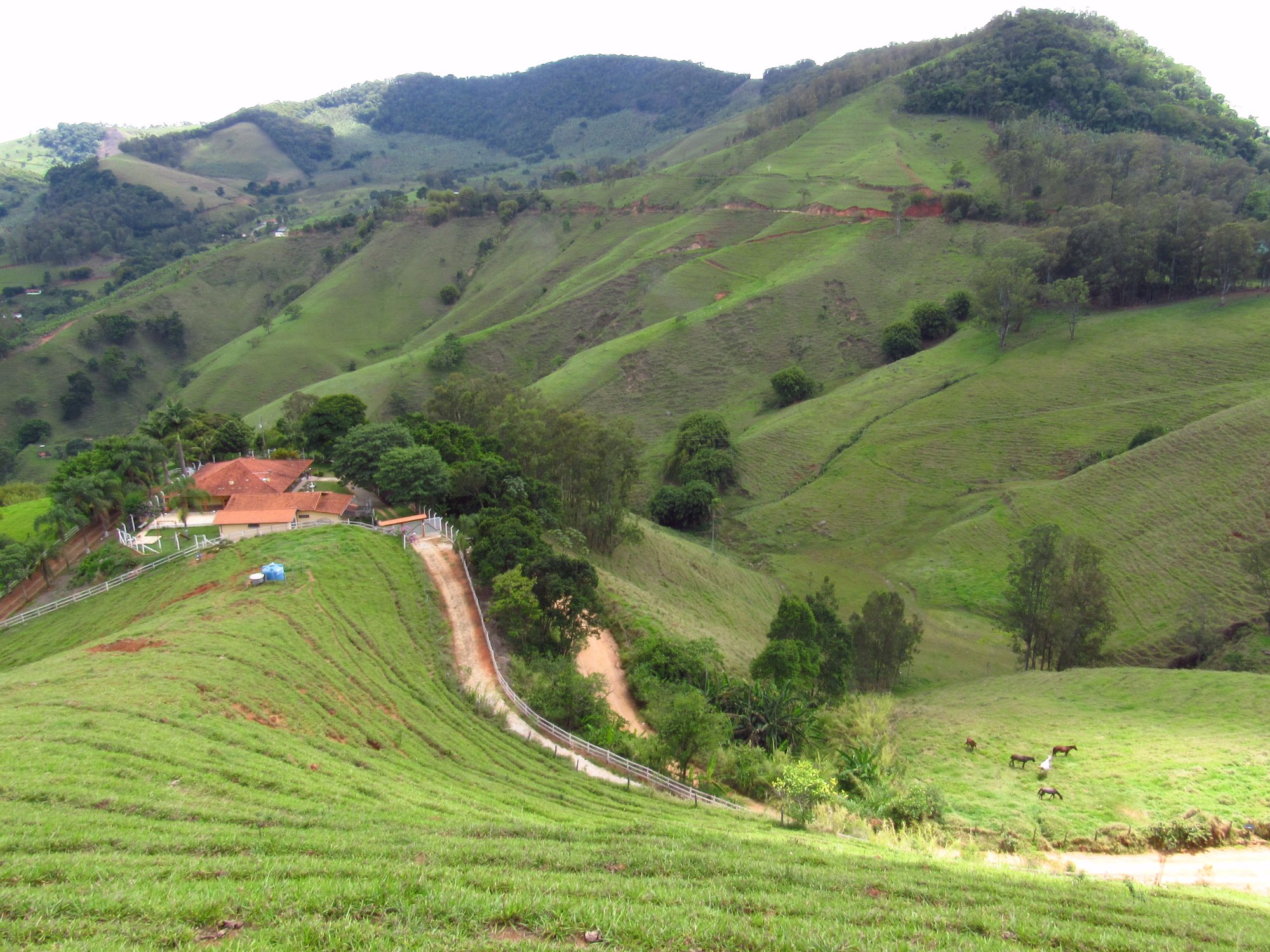 Pedralva Minas Gerais fonte: dynamic-media-cdn.tripadvisor.com Fonte: dynamic-media-cdn.tripadvisor.com